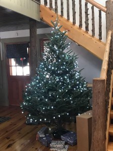 DSNY - Christmas Tree Disposal 2020