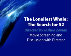 The Loneliest Whale: The Search for 52 – National Lighthouse Museum