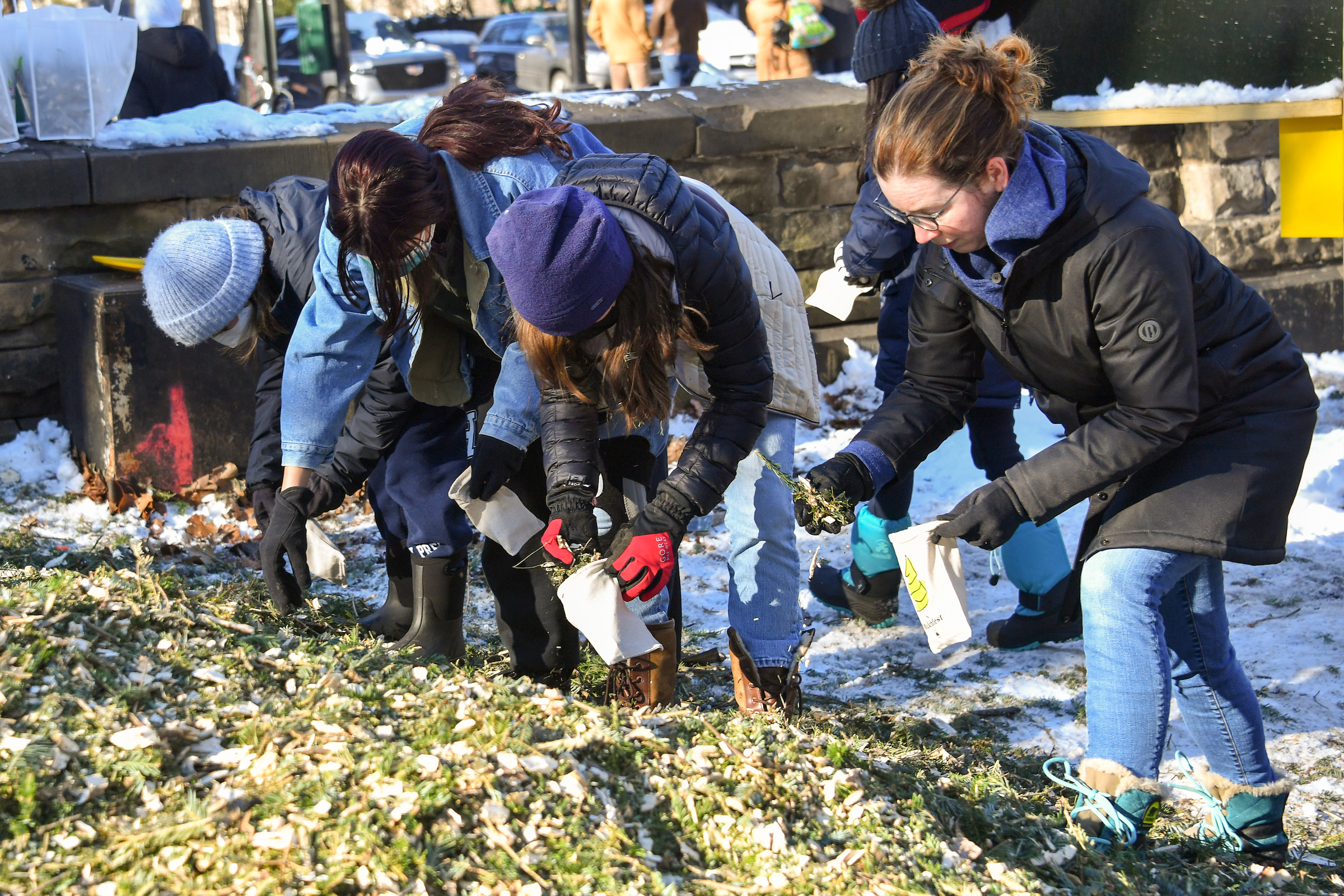 MULCHFEST, NYC PARKS’ ANNUAL HOLIDAY RECYCLING CELEBRATION DECEMBER 26 