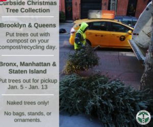 Christmas Trees Disposal Curbside 2024